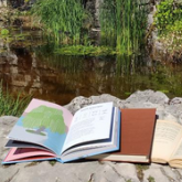 Au parc pour écouter des histoires: jardin botanique